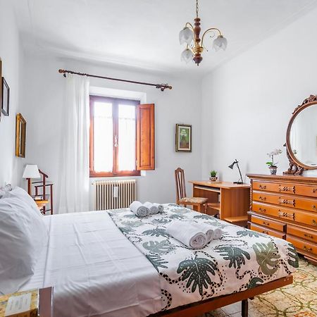 Pisa Airport Comfy Apartment - Private Parking エクステリア 写真